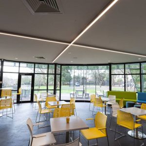 Ceiling mount led linear light