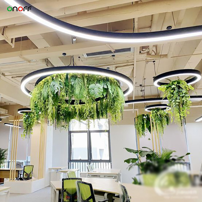 hanging led ring light with artificial plant for office
