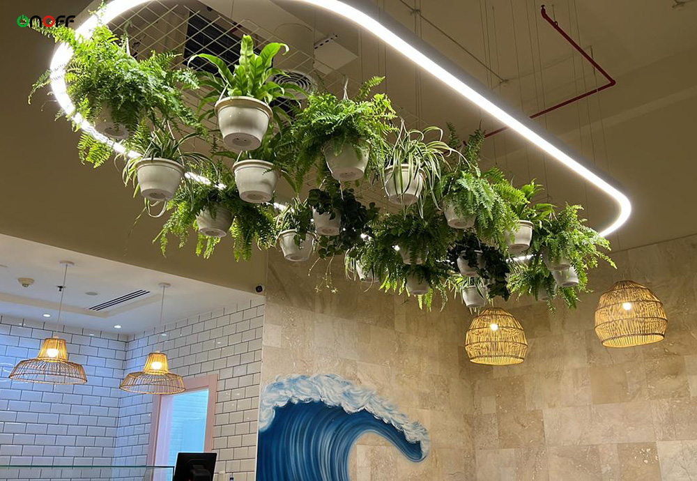 oval shape light apply to restaurant